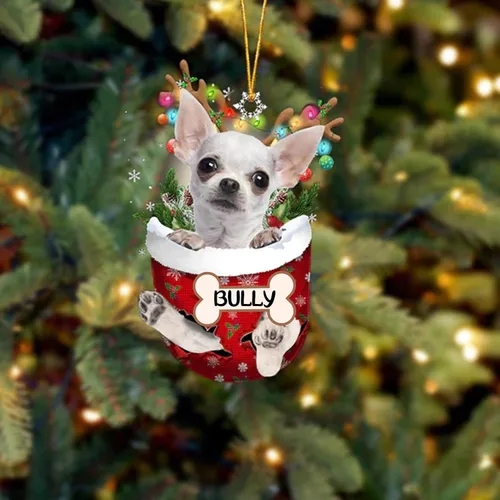 Vista 98 de IZI POD Affenpinscher Adorno de Navidad personalizado para perro, adorno de bolsillo de nieve para perro para árbol de Navidad, adorno acrílico