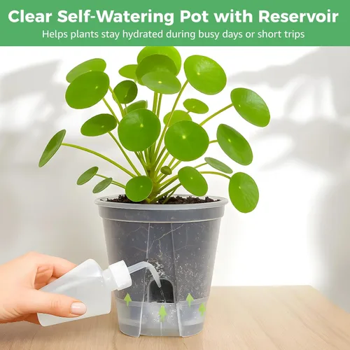 Vista 2 de OMISTAR Macetas de riego automático con depósito, macetas de plástico transparente con orificios de aire y drenaje, macetas de flores
