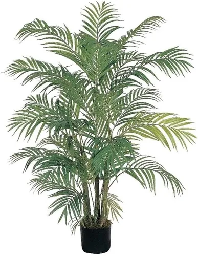 Vista 3 de Nearly Natural Palmera de seda areca de 3 pies