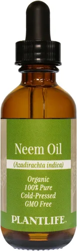 Vista 19 de Plantlife Aceite portador de argán – Aceite portador prensado en frío, sin OMG y sin gluten – para la piel, el cabello y el cuidado personal – 2