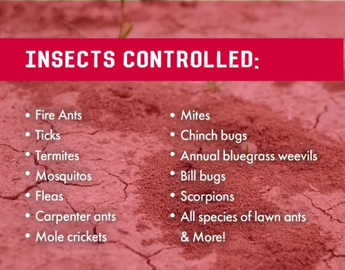Vista 5 de 7.9% insecticida bifentrina - 32 onzas - (comparado con las marcas líderes) - Control profesional de insectos - mata al contacto - Hormigas