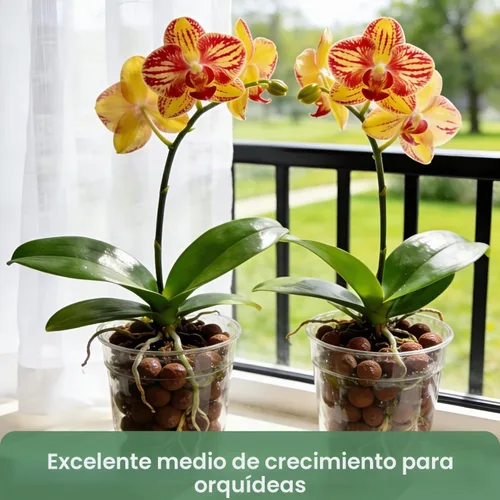 Vista 6 de Halatool - Guijarros de arcilla de leca de 2 libras para plantas, bolas hidrográficas de 0.157 a 0.630 pulgadas