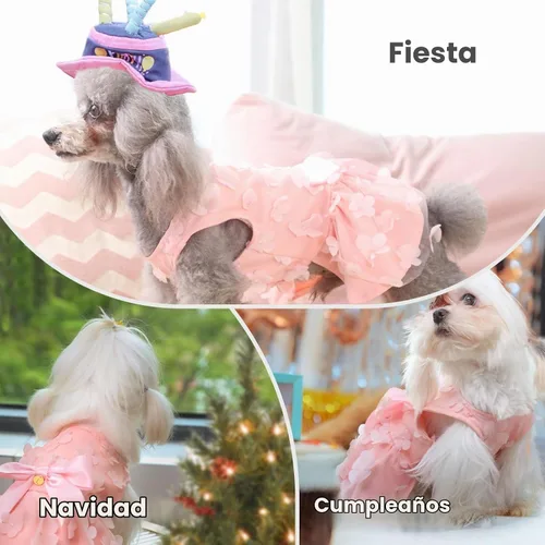 Vista 6 de Laifug Vestido para Perro Cachorro con Estampado Princesa Vestido para Perro Lindo para Fiestas (Rosa, XS)