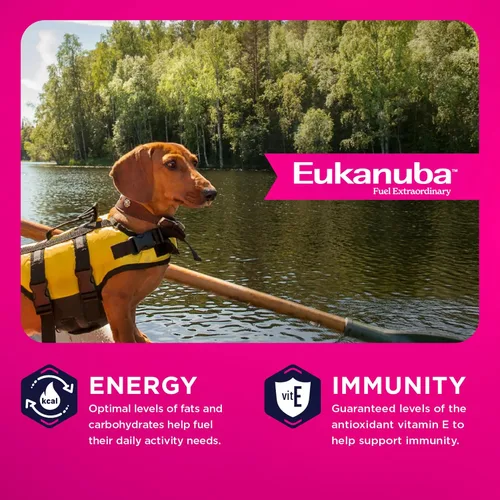 Vista 6 de Eukanuba Alimento seco para perros adultos de raza pequeña, bolsa de 15 libras