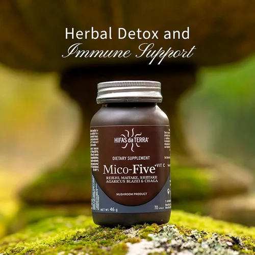 Vista 3 de HIFAS DA TERRA Mico-Five - Cápsulas complejas de hongos - Suplemento de apoyo inmunológico - Mezcla de extracto de Reishi, shiitake, maitake, chaga