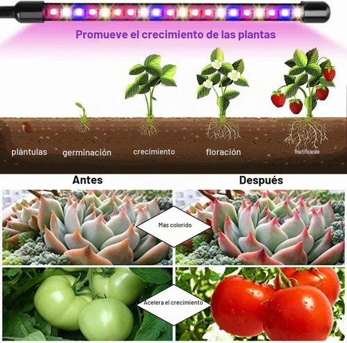 Vista 7 de Garpsen - Luces de cultivo para plantas de interior, 2 cabezales con clip, 40 LED Luz para plantas RedBlue, temporizador de 6/12/16 horas, 3