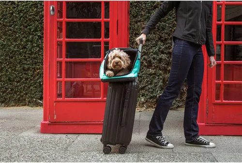 Vista 6 de Sleepypod - Transportador para mascotas en cabina, color gris carbón