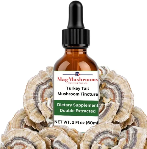 Vista 7 de Tintura de hongos de rutina matutina, alta potencia, doble extracción, 60 dosis diarias, melena de león y cordyceps