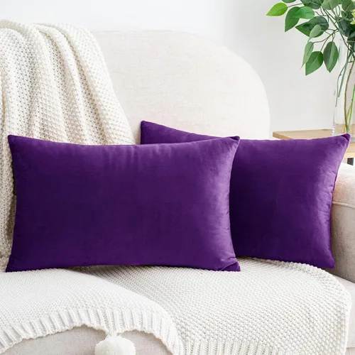 Vista 69 de HWY 50 fundas de almohada decorativas de terciopelo sólido para sofá, sala de estar., Terciopelo, gris, 20x20 pulgadas