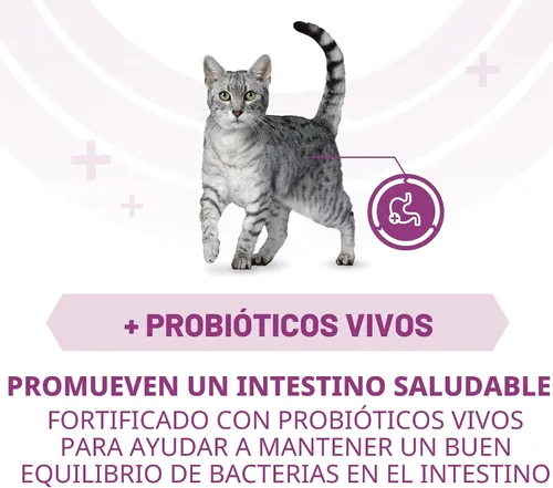 Vista 3 de Purina ONE Plus Apoyo para todo el cuerpo con pollo, alimento seco para gatos - Bolsa de 7 lb