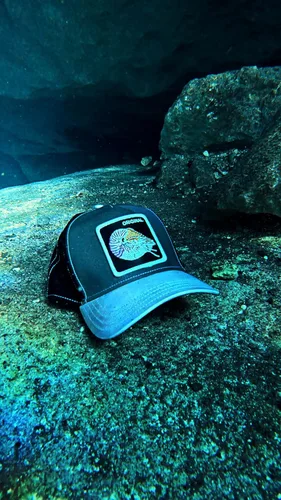 Vista 5 de Goorin Bros. The Farm Deep Sea Collection - Gorra unisex para camionero