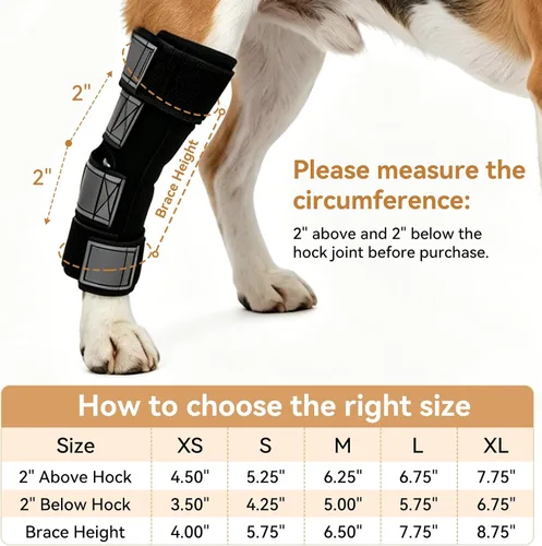 Vista 7 de Dog Leg Brace for Back Leg Support Adjustable Hock & Ankle Compression Wrap