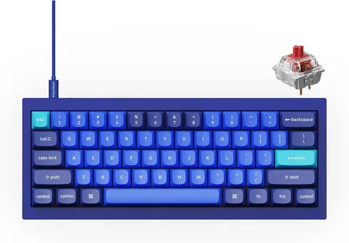 Vista 20 de Keychron Q4 Teclado mecánico personalizado con cable, 60% de diseño QMK/VIA macro programable con interruptor rojo Gateron G Pro intercambiable