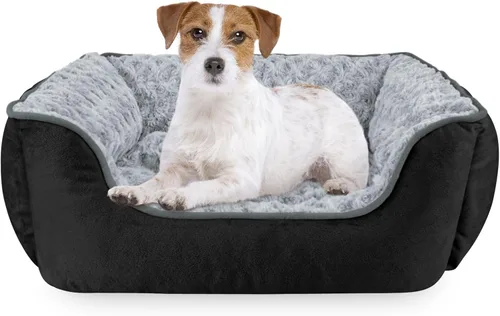 Vista 29 de JOEJOY - Cama rectangular para perros grandes, medianos y pequeños - Cama de sofá ortopédica lavable, suave y transpirable para cachorros