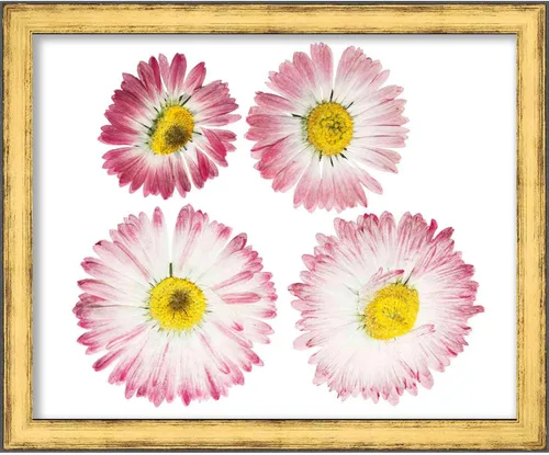 Vista 6 de 5x7 Gold Shadowbox Frame - Shadow Box Frame Interior Size 5x7 in by 1.25 in Deep - Gold Frame is Made to Display Items Up to 1.25 in Deep Includes