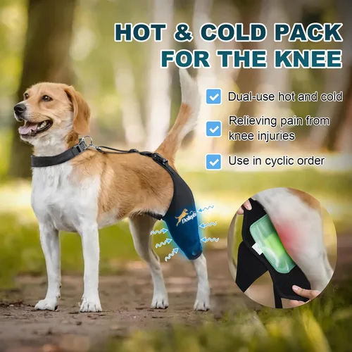 Vista 2 de Rodillera para Perro Dollephi para Pierna Trasera Desgarrada ACL, Compresa Caliente/Fría para Luxación de Rótula u Osteoartritis, Lesiones
