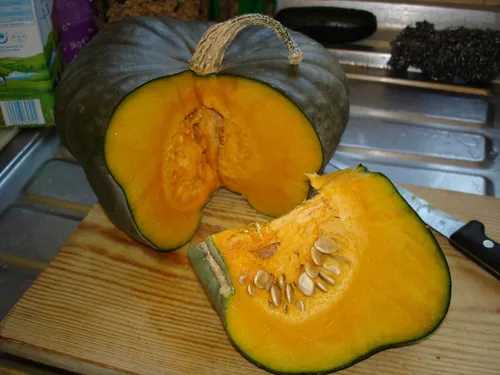 Vista 2 de Semillas Calabaza Queensland Blue Giant Halloween Rare Non-GMO Vegetal para plantar