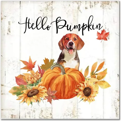 Vista 14 de Hello Pumpkin Boston Terrier Dog Wood Signs Pumpkin Farm Wall Plaque Gives Thanks Porch Sign Rustic Home Family Wall Decoration for Home Front Door