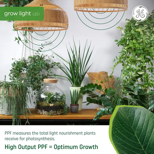 Vista 3 de GE Lighting - Luz LED para cultivo y horticultura