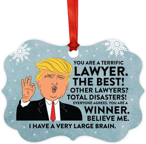 Vista 76 de Andaz Press Presidente Donald Trump Fancy Frame Recuerdo Adorno de Navidad Regalo de broma, excelente contador, 1 paquete, divertidas ideas