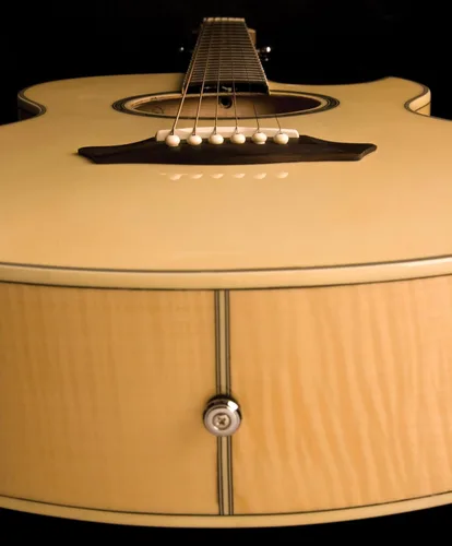 Vista 5 de Washburn Guitarra eléctrica acústica Festival EA20 (EA20-A)