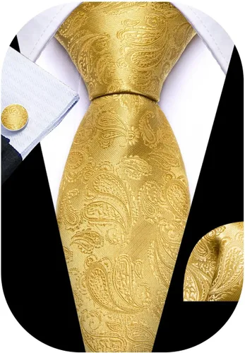 Vista 79 de Barry.Wang - Juego de corbata de seda para hombre, diseño de cachemira, pañuelo y gemelos de bolsillo