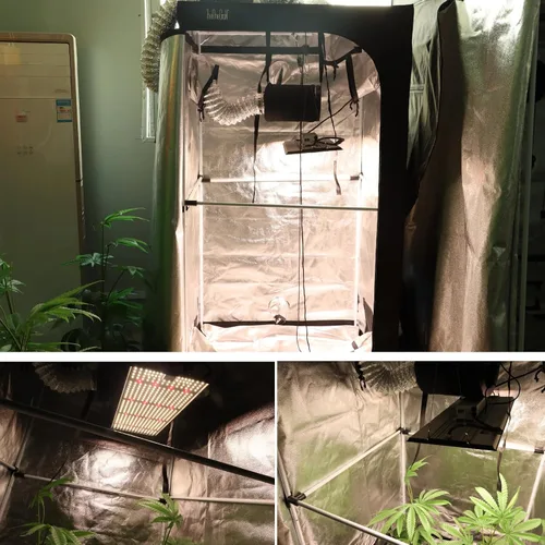 Vista 8 de MA1200 Luz de Crecimiento de Espectro Completo, Panel de Luz de Planta Regulable de 120 Vatios, Luz LED de Crecimiento para Inicio de Semillas