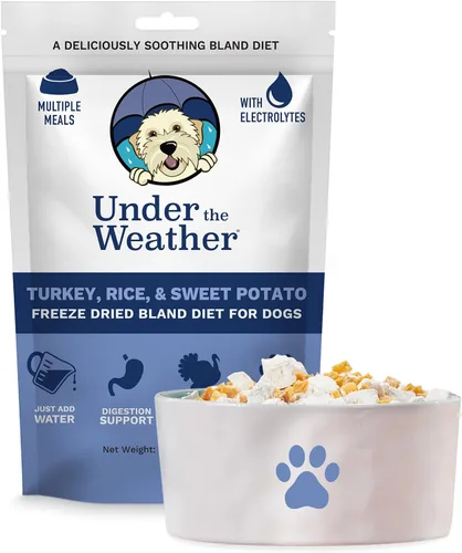 Vista 11 de Under the Weather Bland Diet para perros Fácil de digerir para perros enfermos Siempre esté listo Contiene electrolitos – Carnes naturales