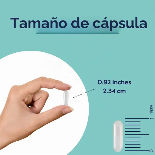 Vista 4 de BESTVITE Quercetina 500mg (120 cápsulas vegetales) - Sin estearatos