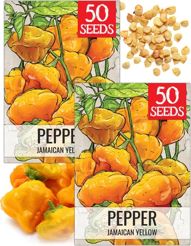 Vista 37 de Seed Needs - Semillas de pimiento arcoíris para plantar verduras, 1 paquete