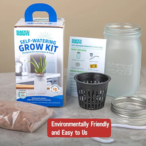 Vista 6 de Back to the Roots Kit de cultivo de riego automático, macetas hidropónicas de vidrio para suculentas y sistema de riego automático de cactus