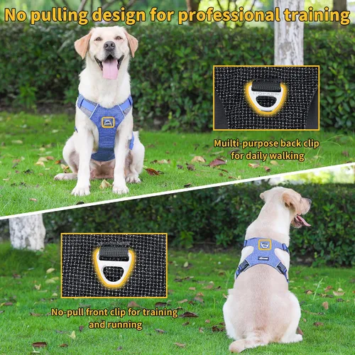 Vista 3 de LIOPARD Arnés para perro, arnés para mascotas fácil de caminar sin tirones, con 2 clips para correa, chaleco reflectante suave acolchado ajustable