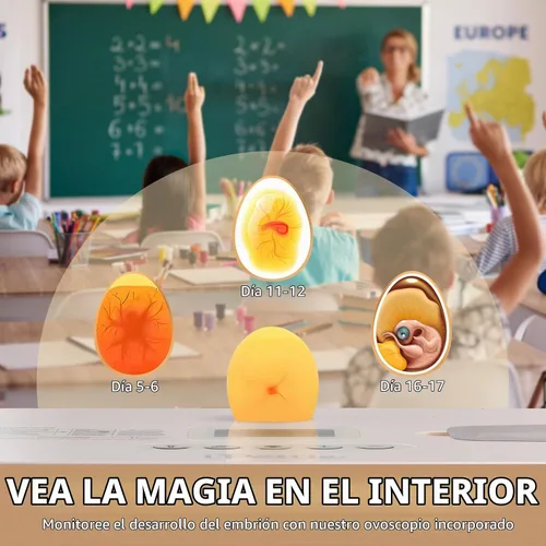 Vista 5 de iPettie - Incubadora de huevos para incubar huevos con giro automático