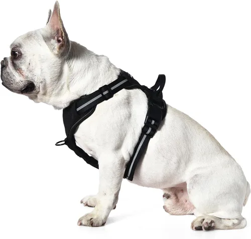 Vista 2 de Amazon Basics Arnés para perro sin tirones, chaleco ajustable acolchado suave con rayas reflectantes, resistente, pequeño, negro