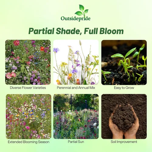 Vista 2 de Outsidepride Mezcla de semillas de flores silvestres de sombra parcial para todos los estados, mezcla premium de flores silvestres anuales