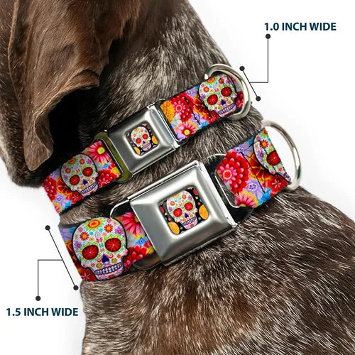 Vista 2 de Collar de perro hebilla de cinturón de seguridad Sugar Skull Starburst blanco multicolor 9 a 15 pulgadas 1.0 pulgadas de ancho