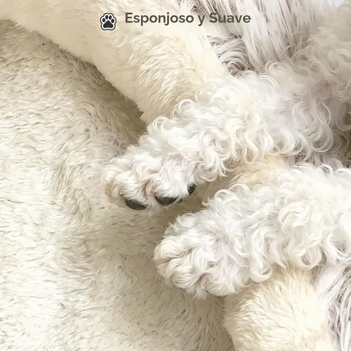 Vista 3 de YooxArmor Cama redonda para gatos, cama para perros pequeños y medianos Gris