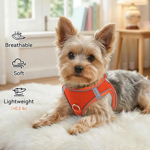 Vista 51 de Joytale Arnés para Perros Pequeños, Chaleco de Malla Transpirable Step-in, Arneses Acolchados Suaves Reflectantes para Gatos y Perros Cachorros