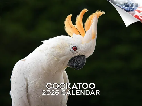Vista 443 de Calendario de grises africanos 2025 2026 – Planificador mensual de pared de aves africanas – 12 x 18 pulgadas (abierto), calendario de pared