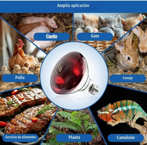 Vista 7 de Bombillas de calor de 250 W, 1 paquete de lámpara de calor infrarroja para pollos con enchufe E26 y 5000 horas de vida útil bombilla de calor