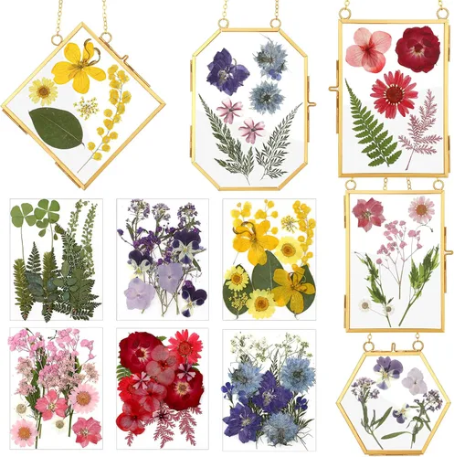 Vista 9 de Bucherry Marco de vidrio para bricolaje, arte de flores prensadas, marco de fotos colgante de latón con cadena y 6 estilos de flores prensadas