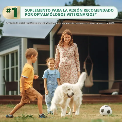 Vista 5 de Ocu-GLO® Cápsulas veganas – Suplemento de visión para perros y gatos maduros – Formulado con luteína, ácidos grasos omega-3 a base de algas