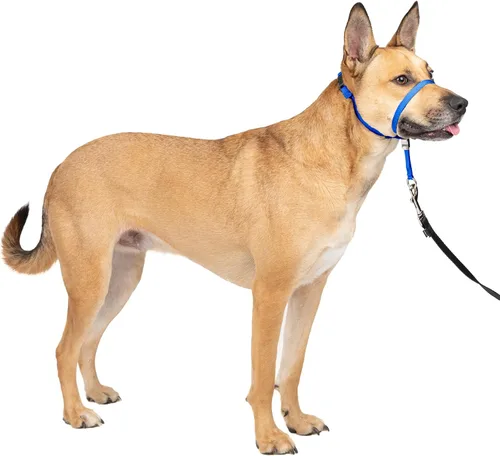 Vista 29 de Collar suave de conducción con DVD de entrenamiento PetSafe, Negro
