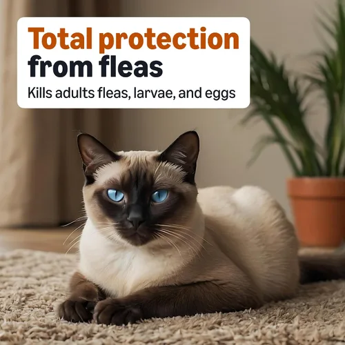 Vista 3 de Amazon Basics PrevenativeTratamiento tópico de pulgas para gatos medianos (5-9 libras), 4