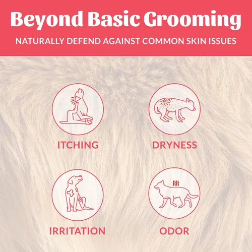 Vista 3 de SKOUT'S HONOR Spray desodorizante probiótico para perros, coco bañado por