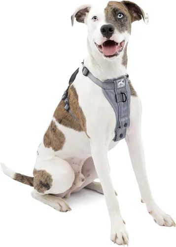 Vista 18 de Kurgo Tru-Fit - Arnés inteligente para caminar para perros, ajuste cómodo, arnés ajustable, reflectante para mascotas, liberación rápida