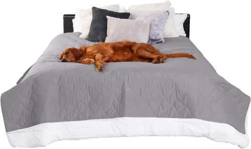 Vista 14 de Furhaven Funda Protectora de Colchón Impermeable y Antideslizante Tamaño Queen para Perros y Gatos, Lavable, Para Camas, Sofás y Asientos