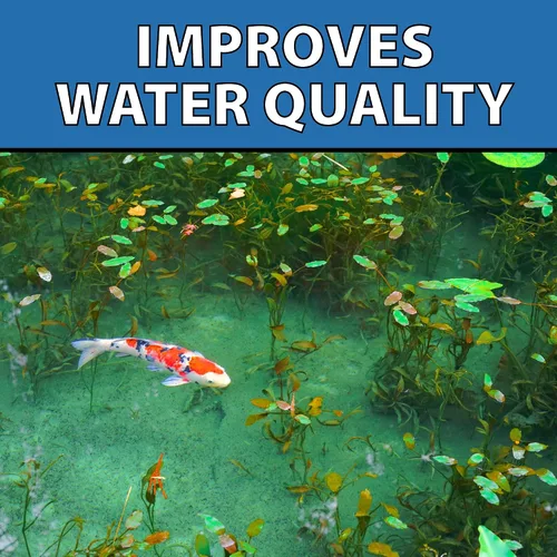 Vista 9 de CrystalClear MuckOff, Tratamiento Natural de Lodo para Estanques, Limpiador de Jardín Acuático, Eliminador de Lodo para Fuentes y Baños para Aves
