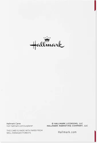 Vista 7 de Hallmark - Paquete de tarjetas para el día de San Valentín, diseño de corazón