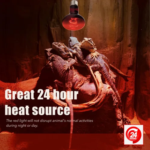 Vista 2 de Luz de calor infrarroja y lámpara intensa, bombillas de lámpara de calor de reptiles, incluye 2 emisores de calor rojos y 2 bombillas de peregrino